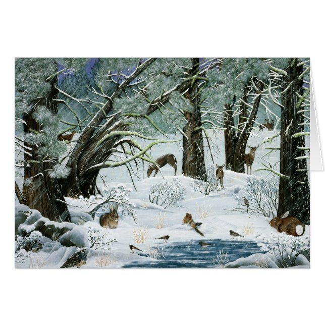 雪は降らないと言った (正面横)