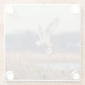 雪ふくろうが離陸 ガラスコースター (裏面)