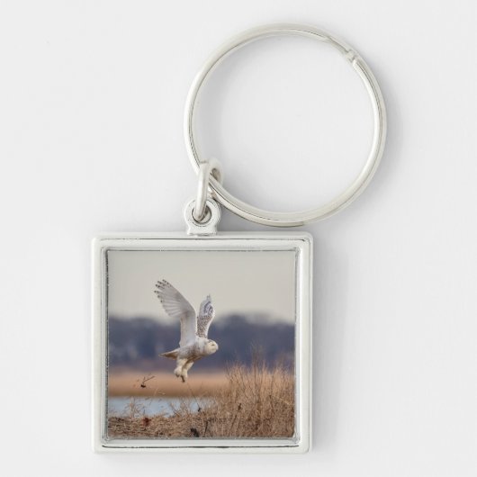 雪ふくろうが離陸 キーホルダー (正面)