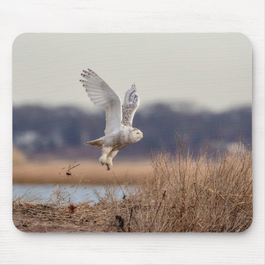 雪ふくろうが離陸 マウスパッド (正面)