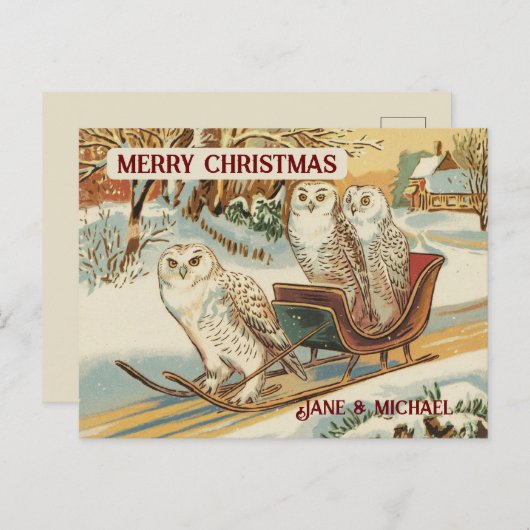 雪ふくろうメリークリスマスネーム ポストカード (正面/裏面)