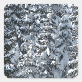 雪もみの木のテクスチャ スクエアシール