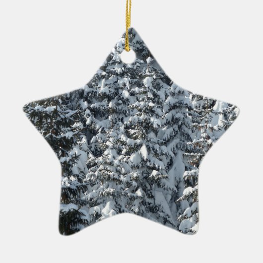 雪もみの木のテクスチャ セラミックオーナメント (正面)