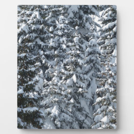 雪もみの木のテクスチャ フォトプラーク