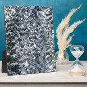 雪もみの木のテクスチャ フォトプラーク (側面)