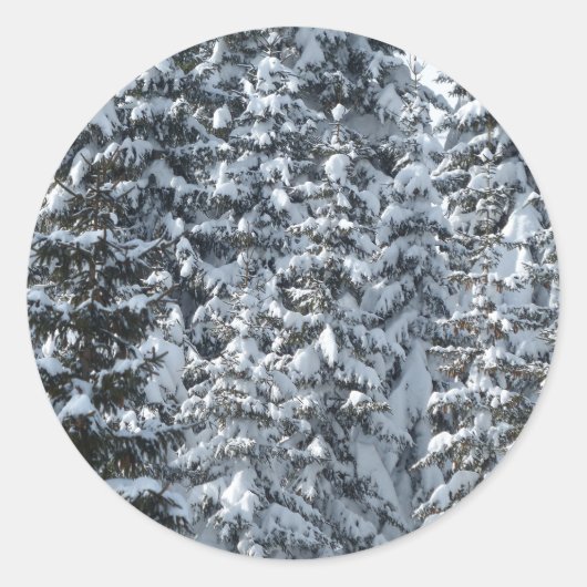 雪もみの木のテクスチャ ラウンドシール (正面)