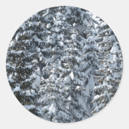 雪もみの木のテクスチャ ラウンドシール