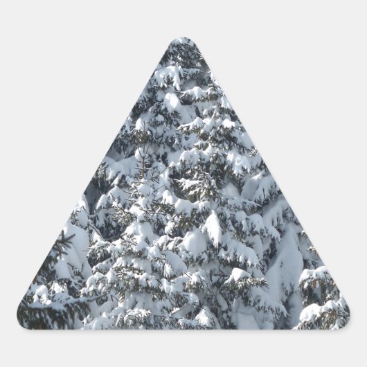 雪もみの木のテクスチャ 三角形シール (正面)