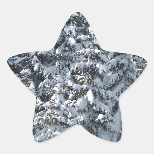 雪もみの木のテクスチャ 星シール (正面)
