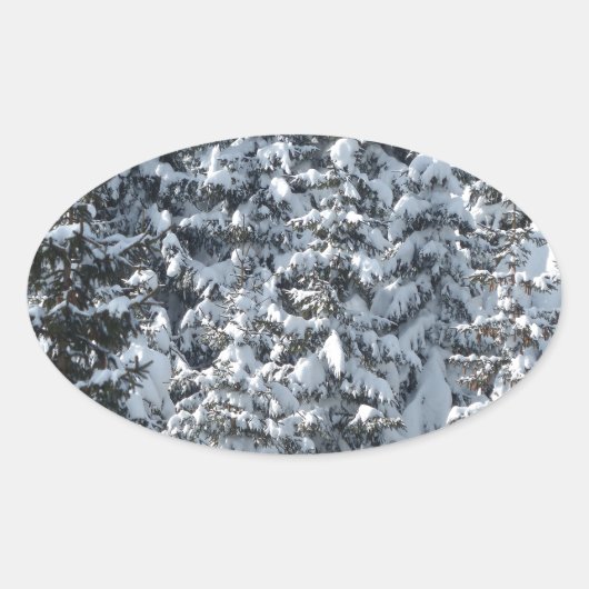 雪もみの木のテクスチャ 楕円形シール (正面)