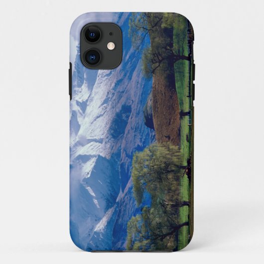 雪をかぶったハリスの下で羊が放牧されている Case-Mate iPhoneケース (裏面)