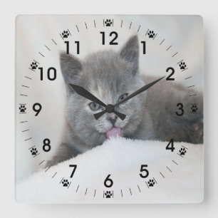雪をなめるグレーの子猫 スクエア壁時計