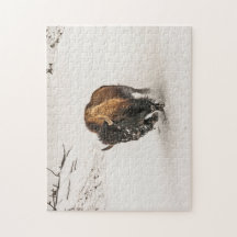 雪を介したバイソンプロディング – 252ピース