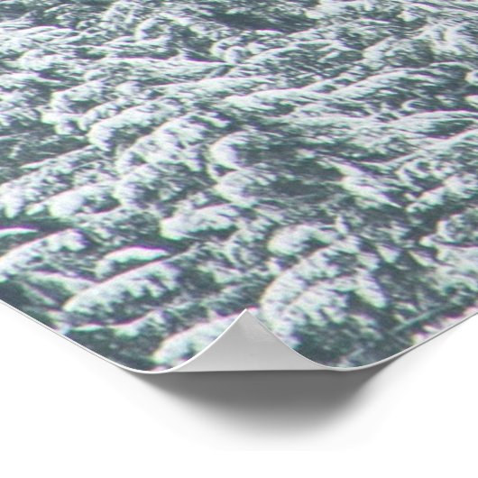 雪を覆う木 ポスター (角)