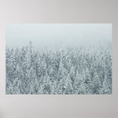 雪を覆う木 ポスター (正面)