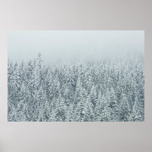 雪を覆う木 ポスター (正面)