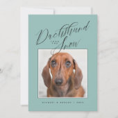 雪を通してダックスフント写真を追加 (正面)