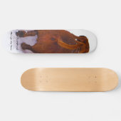 雪を通って紛砕する雪を通したダックスフント スケートボード (横)