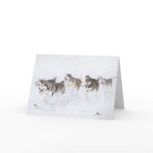 雪を通るアラスカンマラミュートのチームランニング