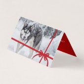 雪を降らせろ (正面)