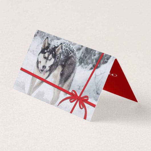 雪を降らせろ (正面)