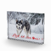 雪を降らせろ フォトブロック (右)