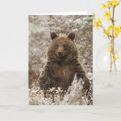 「雪を降らせろ」ホリデーカード カード (黄色い花)