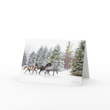 雪を駆け抜ける – ランニングの馬の絵
