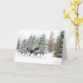 雪を駆け抜ける – ランニングの馬の絵 カード (黄色い花)