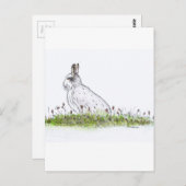 雪ウサギ ポストカード (正面/裏面)