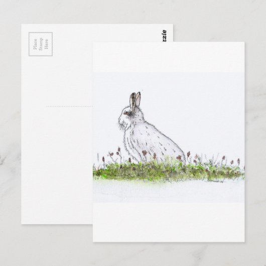 雪ウサギ ポストカード (正面/裏面)