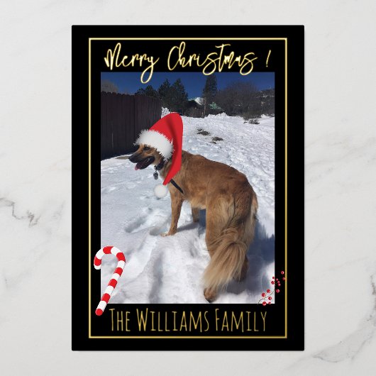 雪エレガントの犬ペット写真箔クリスマスカード 箔シーズンカード (正面)