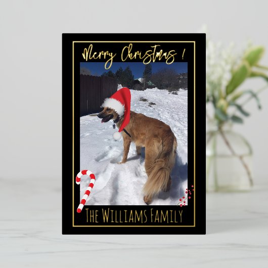 雪エレガントの犬ペット写真箔クリスマスカード 箔シーズンカード (立ち正面)
