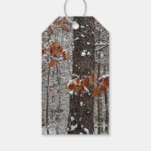 雪オークツリーズ冬の自然写真 ギフトタグ (正面)