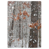 雪オークツリーズ冬の自然写真 クリップボード (裏面)