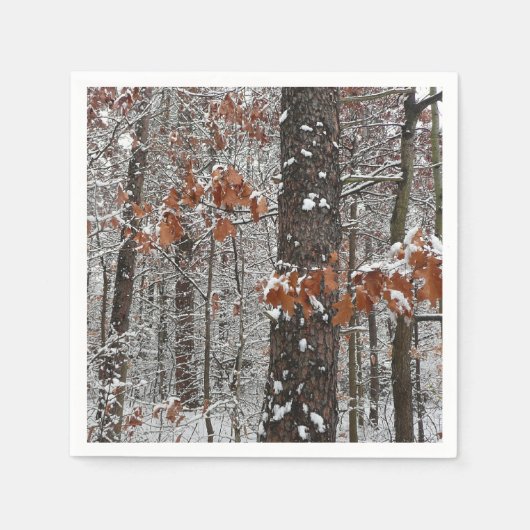 雪オークツリーズ冬の自然写真 スタンダードカクテルナプキン (正面)