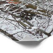 雪オークツリーズ冬の自然写真 ポスター (角)