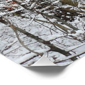 雪オークツリーズ冬の自然写真 ポスター (コーナー)