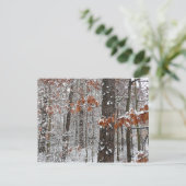 雪オークツリーズ冬の自然写真 ポストカード (スタンド正面)