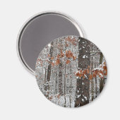 雪オークツリーズ冬の自然写真 マグネット (正面/裏面)