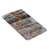 雪オークツリーズ冬の自然写真 マグネット (右側)