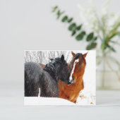 雪キスをするの馬 ポストカード (スタンド正面)