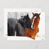雪キスをするの馬 ポストカード (正面/裏面)