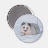 雪キツネ マグネット (正面/裏面)