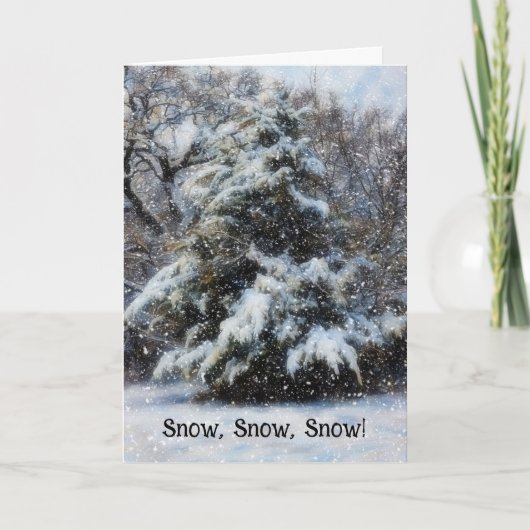 雪クリスマスウィッシュズホリデーカード カード (正面)