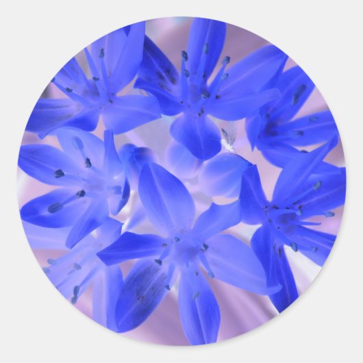 雪ショッキングな青いステッカーの栄光 ラウンドシール (正面)