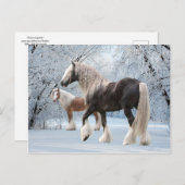 「雪ジプシー」のはがき ポストカード (正面/裏面)