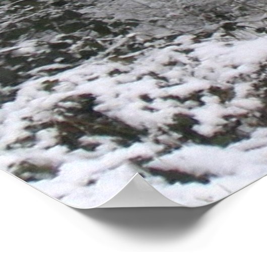 雪ステップ ポスター (角)