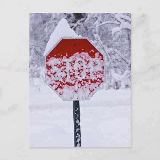雪ストップを! ポストカード (正面)