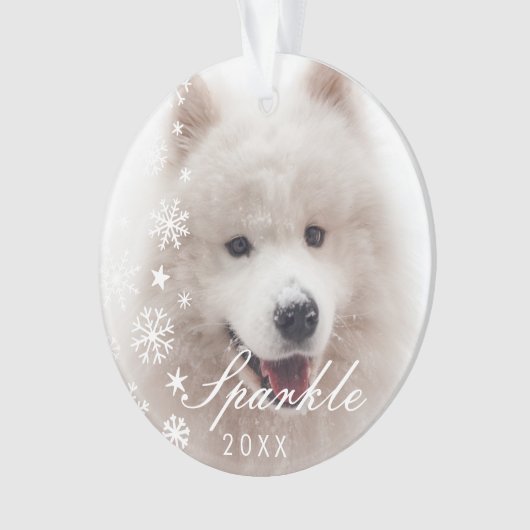 雪パーソナライズされたモダン結晶のペット写真 オーナメント (正面)